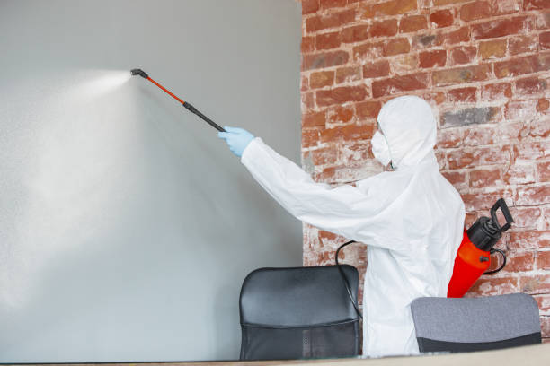 Best Water Damage & Mold Remediation  in Kokomo, IN