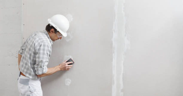 Best Commercial Mold Inspection  in Kokomo, IN