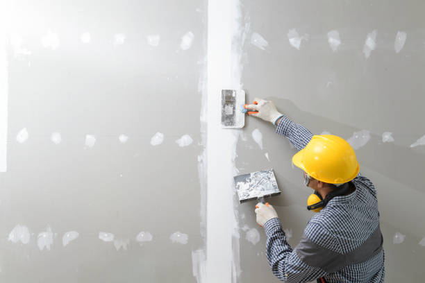 Best Asbestos and Lead Testing During Mold Inspection  in Kokomo, IN