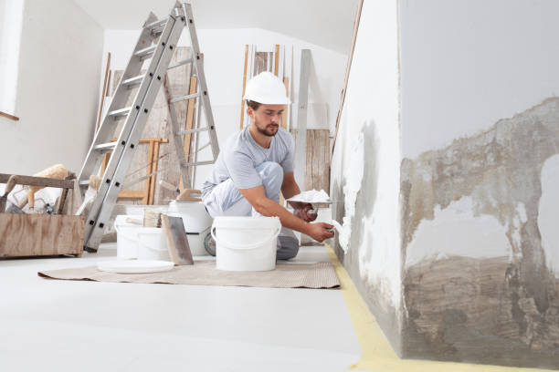 Best Mold Documentation for Insurance Claims  in Kokomo, IN