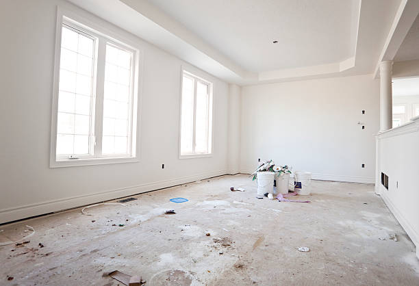 Best Mold Damage Restoration  in Kokomo, IN