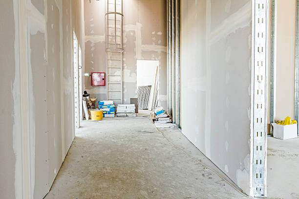 Best Black Mold Removal  in Kokomo, IN