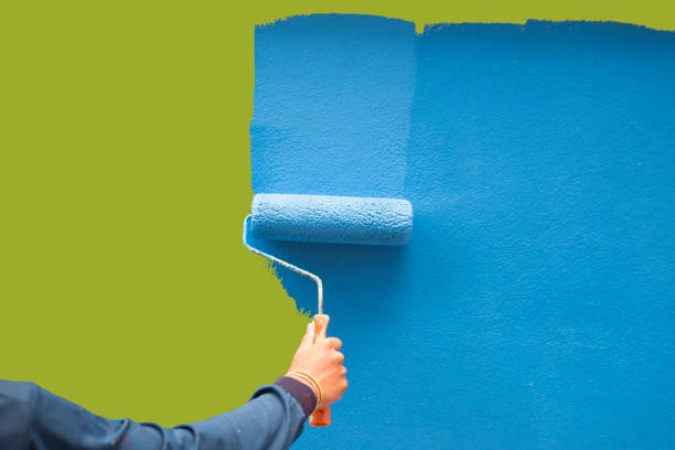 Professional Mold Removal in Kokomo, IN